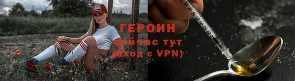 гидра Арсеньев