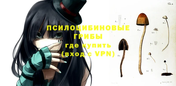 бошки Аркадак