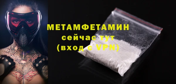 шишки Елизово