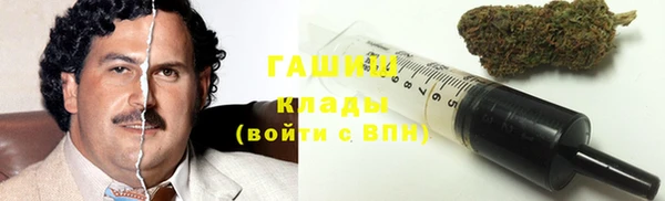 гидра Арсеньев