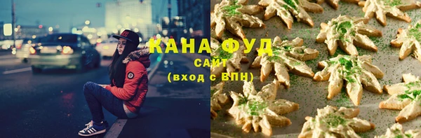 гидра Арсеньев