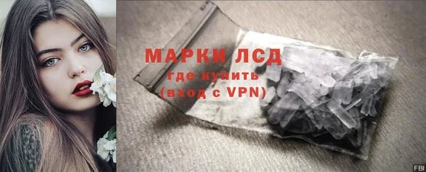 ПСИЛОЦИБИНОВЫЕ ГРИБЫ Ельня