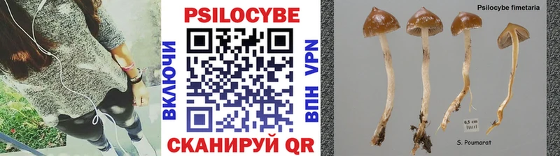 Галлюциногенные грибы Magic Shrooms  как найти закладки  Ладушкин 