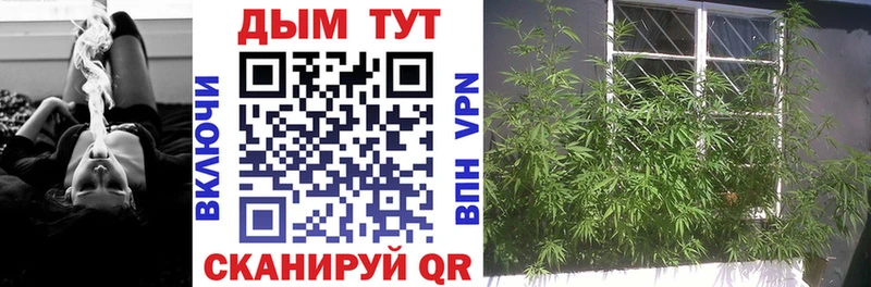 Шишки марихуана VHQ  Ладушкин 
